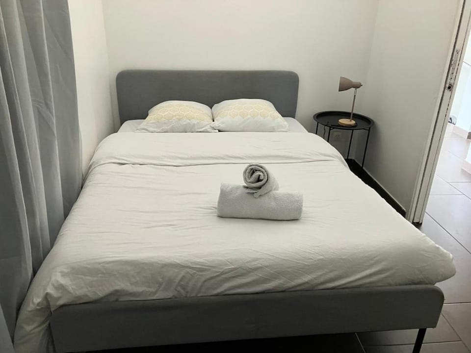 Penthouse Climatiseur Barbecue terrasse Apartment in Villeurbanne