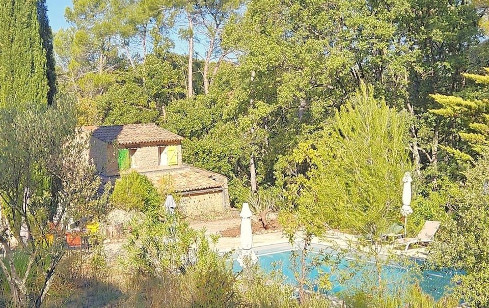 Natural landscape, Garden, Garden view, Swimming pool