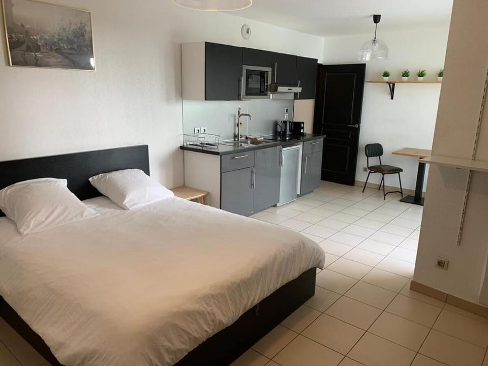 Studio in central Cannes, terrace, close to the beach Apartment in Cannes
