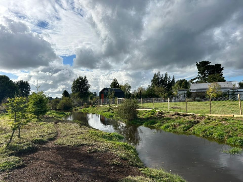 Natural landscape, River view