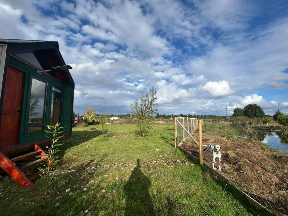 Natural landscape, Garden, Garden view