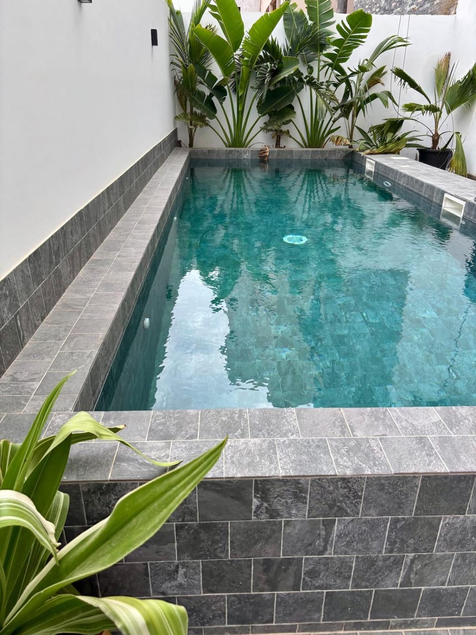 Pool view, Swimming pool, Swimming pool