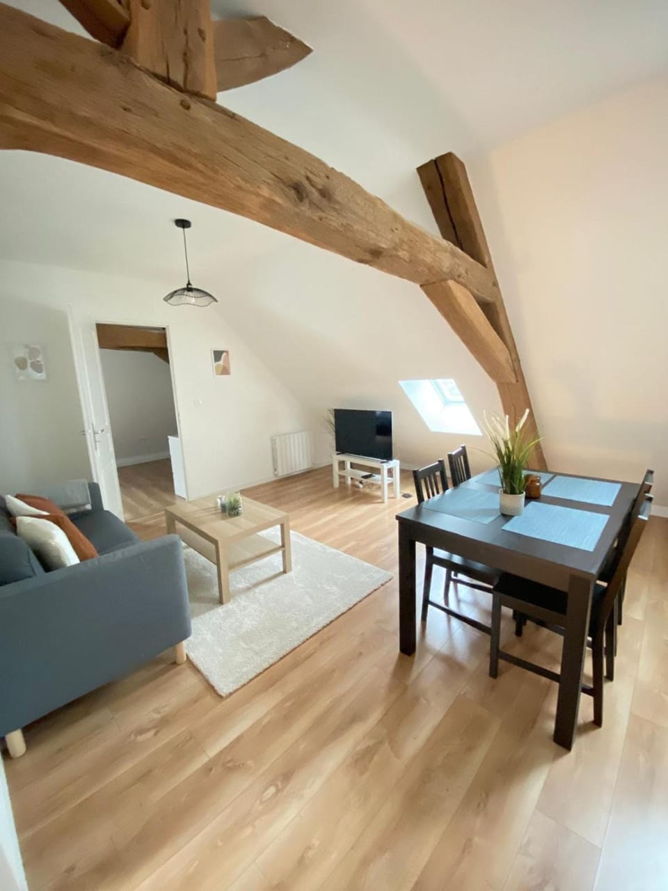 T3 Atypique et Moderne - Orléans centre Apartment in Orléans