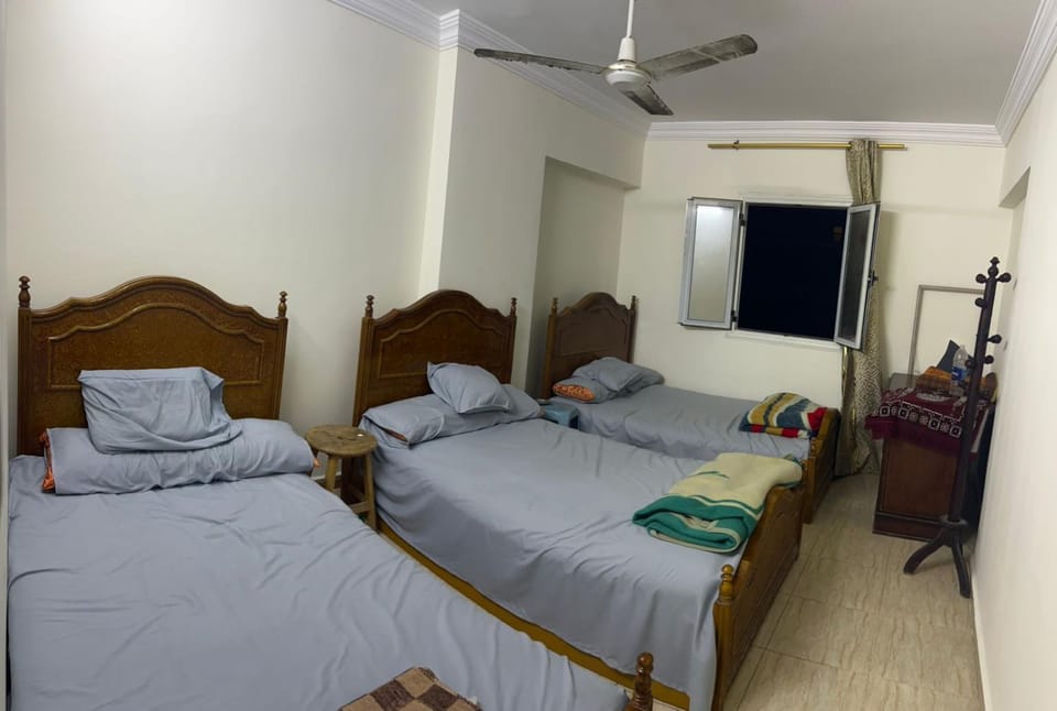 Light Tower Apartment in Alexandria