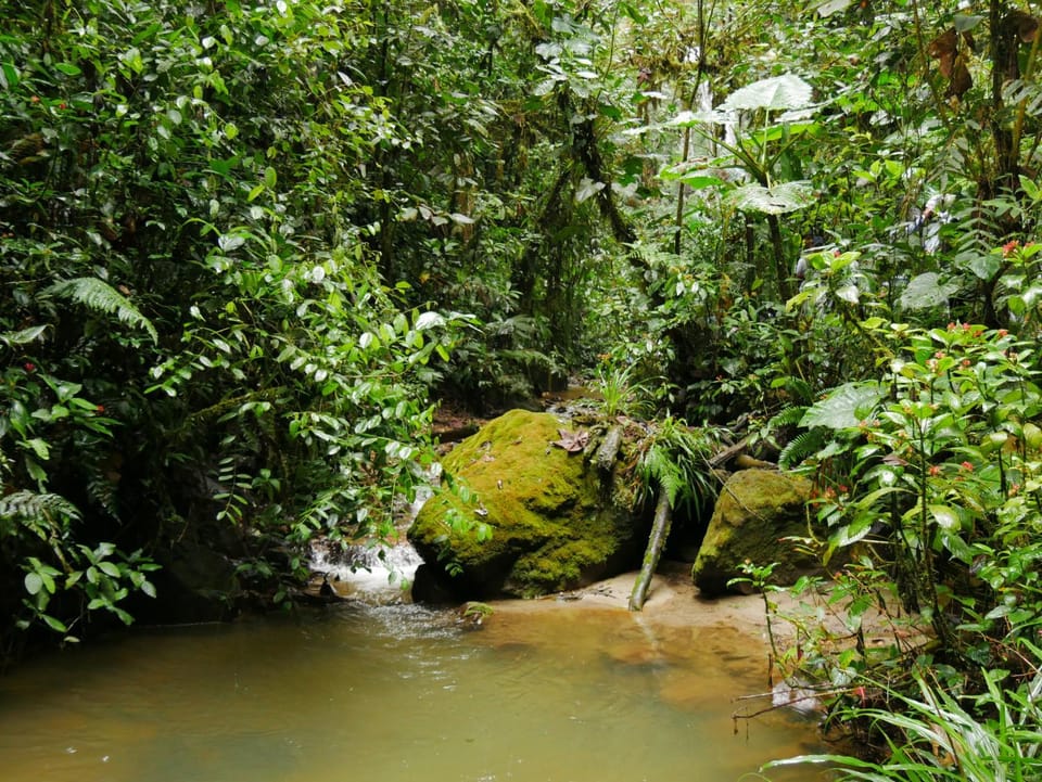 Nearby landmark, Natural landscape, Hiking
