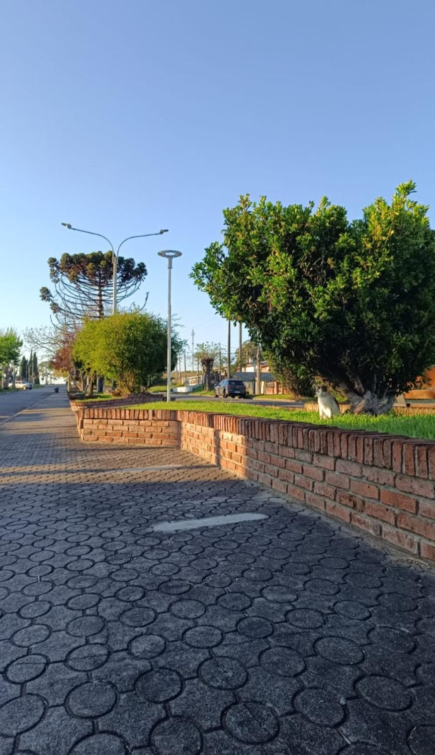 Neighbourhood, Natural landscape