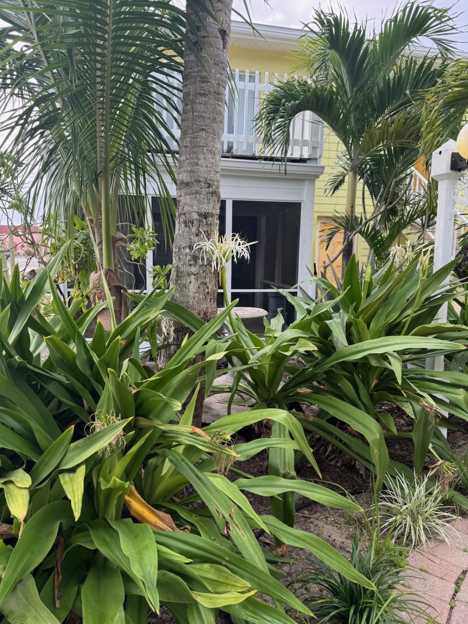 2BR Steps to Beach & Downtown w pool Unit 2 Apartment in Cocoa Beach