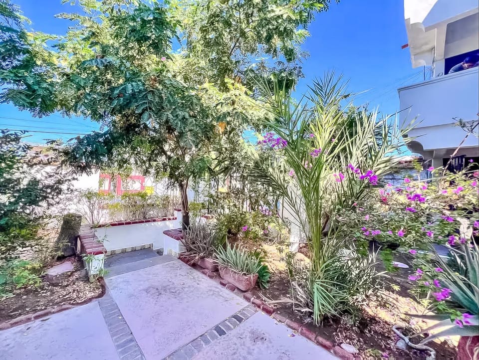 Patio, Patio, Day, Natural landscape, Garden, Garden view, Inner courtyard view
