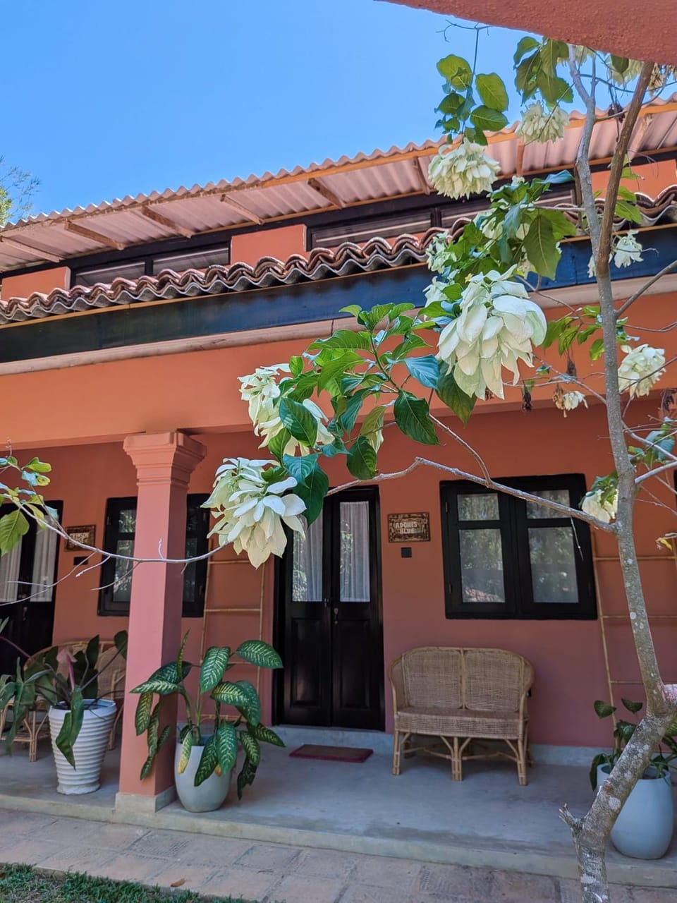 Property building, Balcony/Terrace