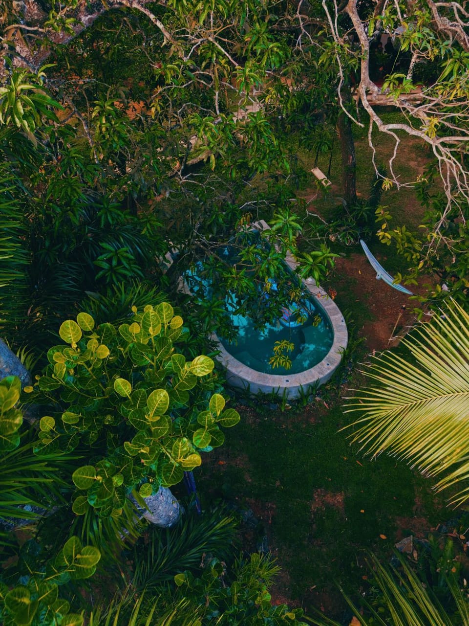 Garden, Swimming pool