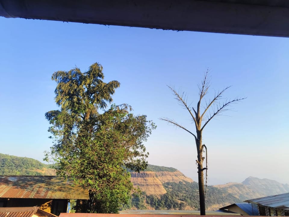 View (from property/room)