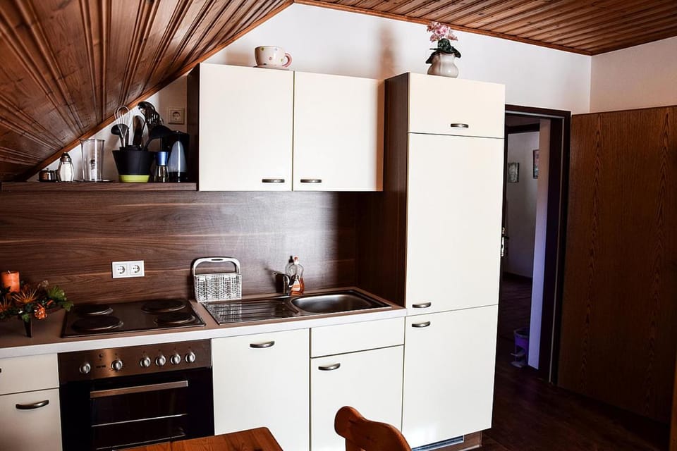 Hansalgut Apartment in Salzburgerland