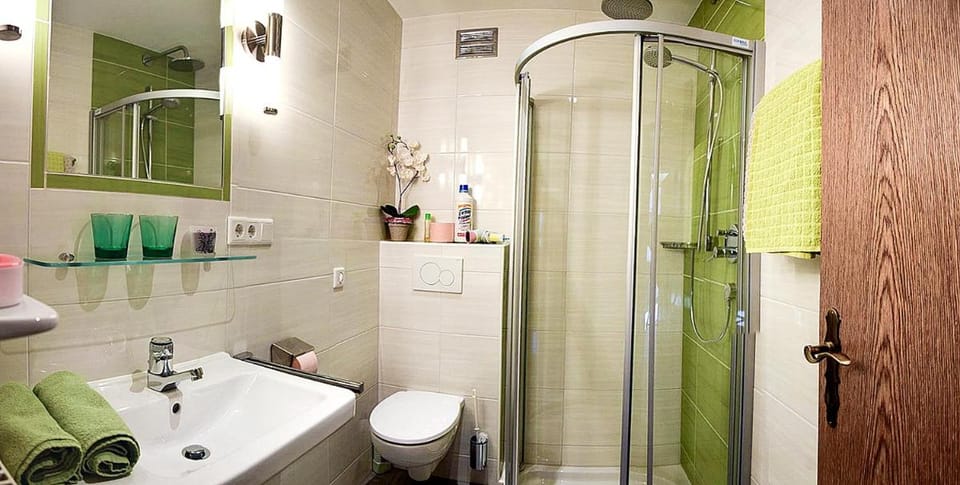 Hansalgut Apartment in Salzburgerland