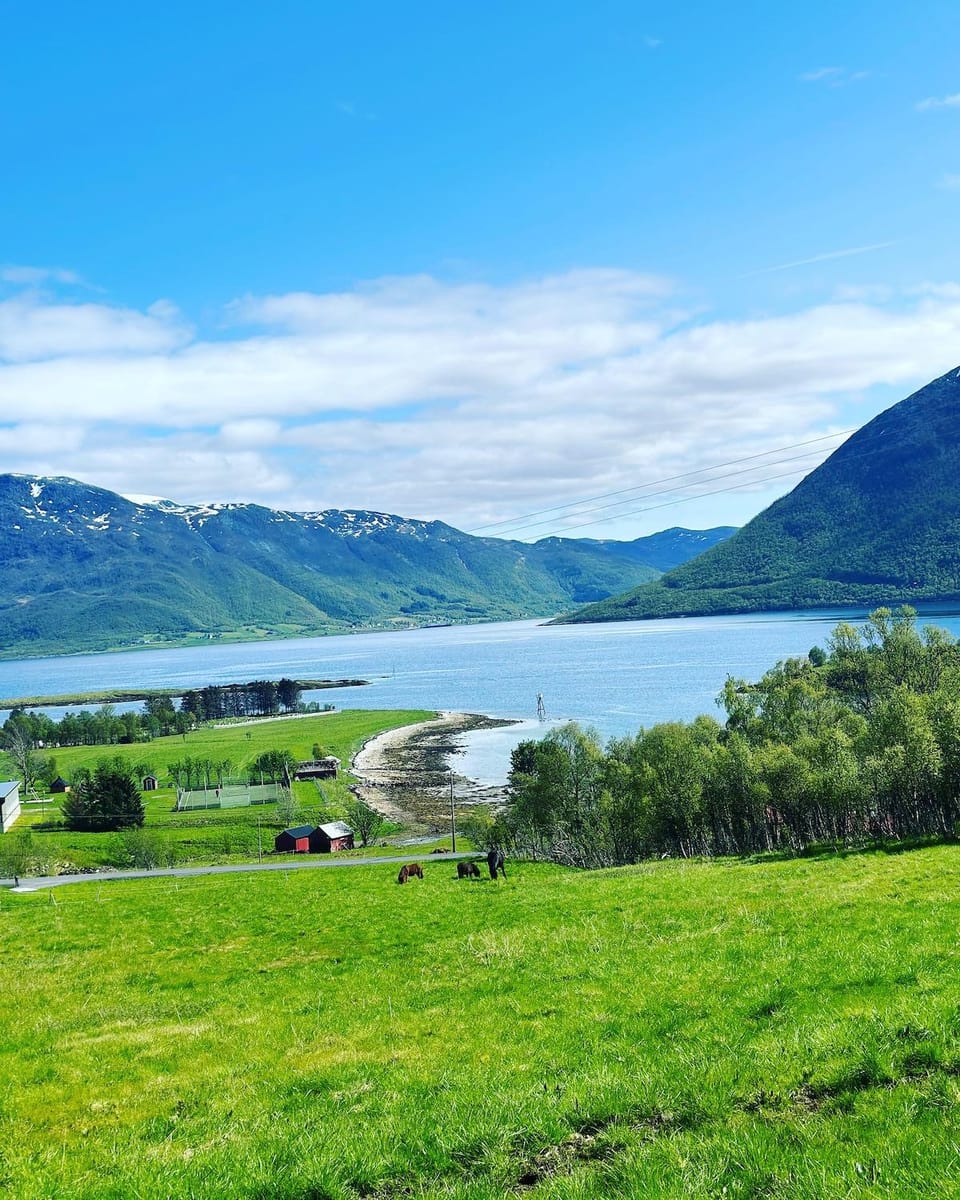 Home with a view Apartment in Nordland, Norway