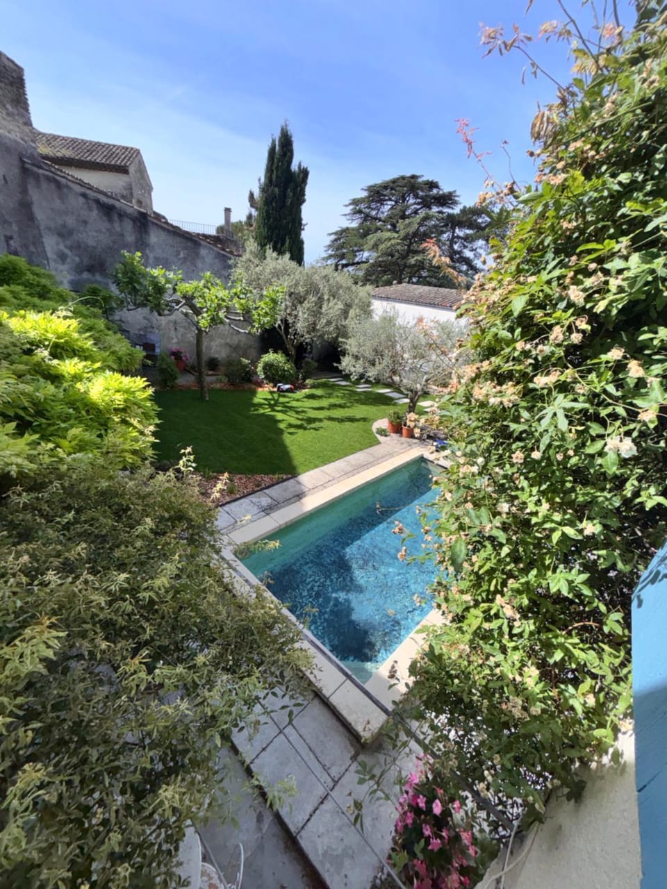 Day, Garden, Garden view, Pool view