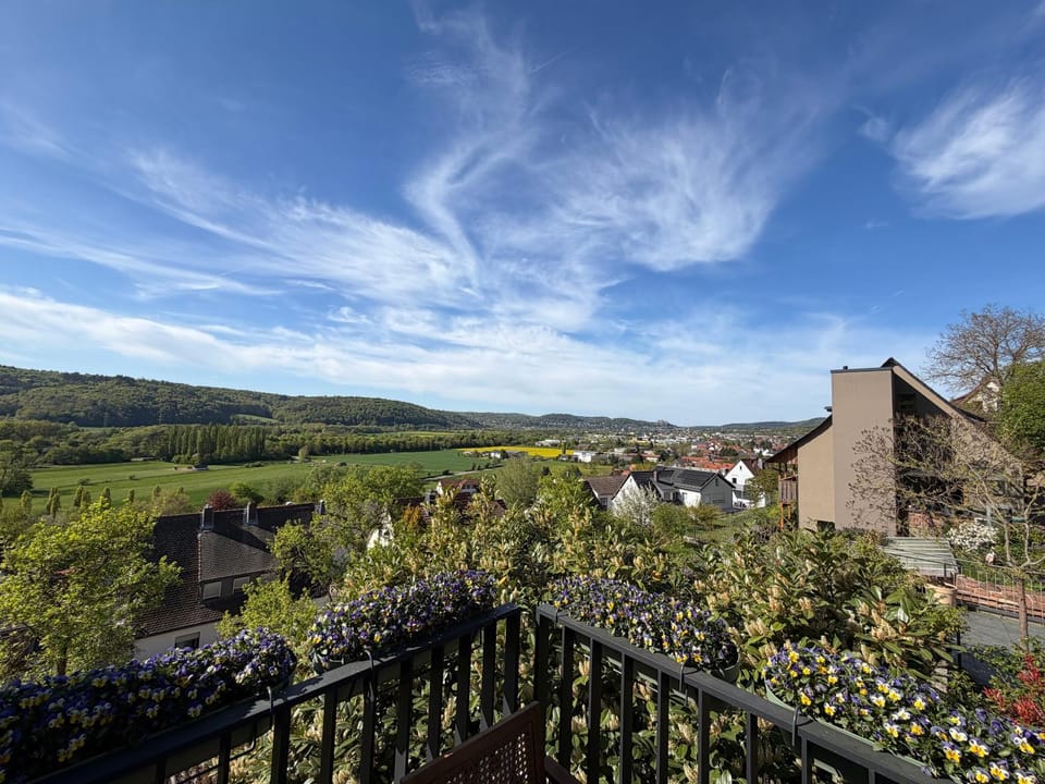 View (from property/room)