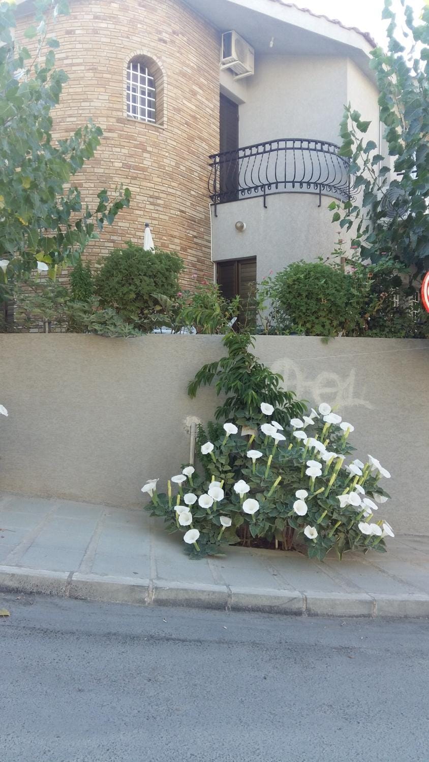 Nikola's House House in Limassol City
