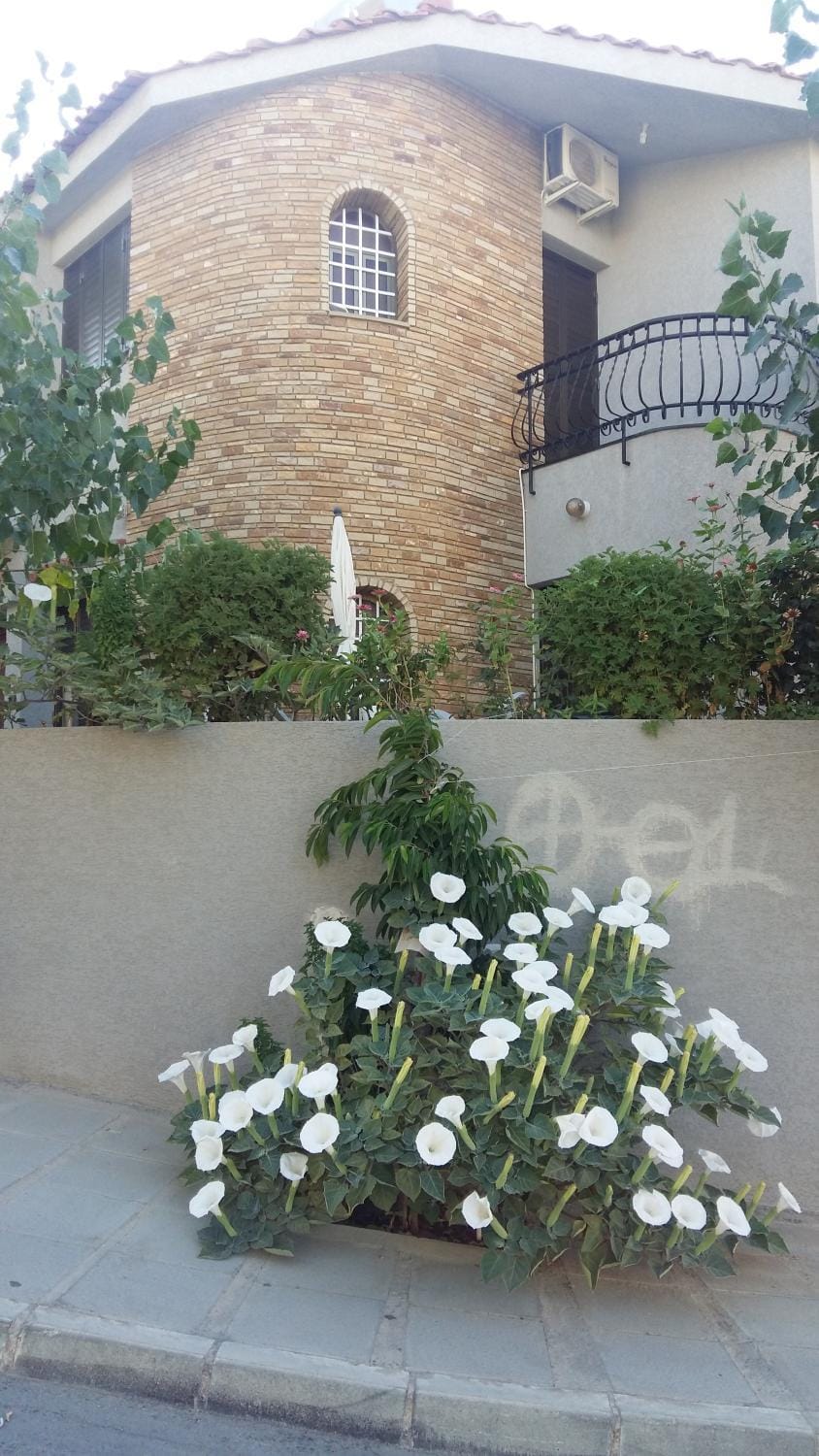Nikola's House House in Limassol City