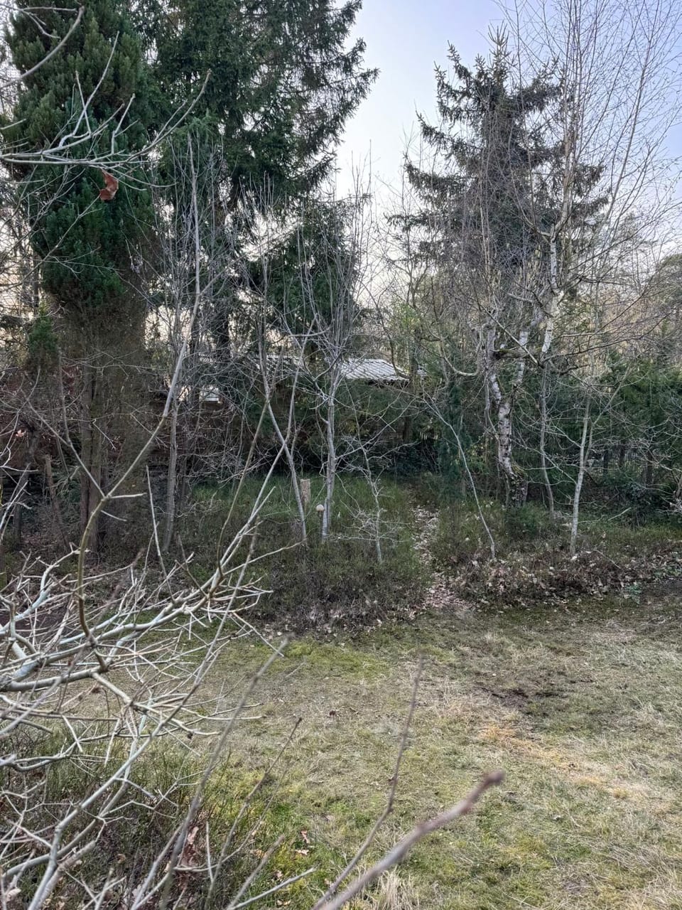 Haus Sommerfeld House in Heidekreis