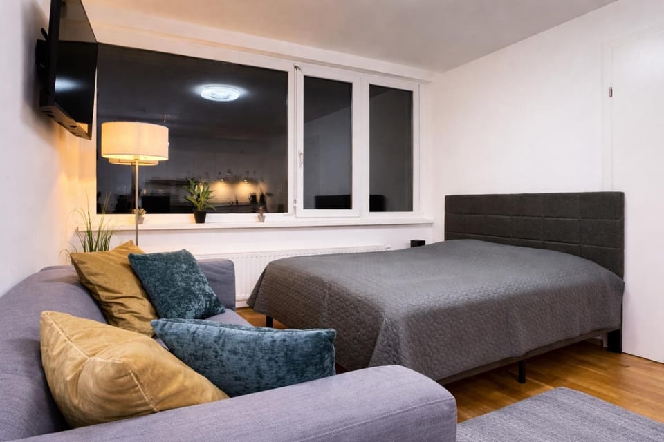 Bed, TV and multimedia, Living room, Photo of the whole room, Seating area, Bedroom
