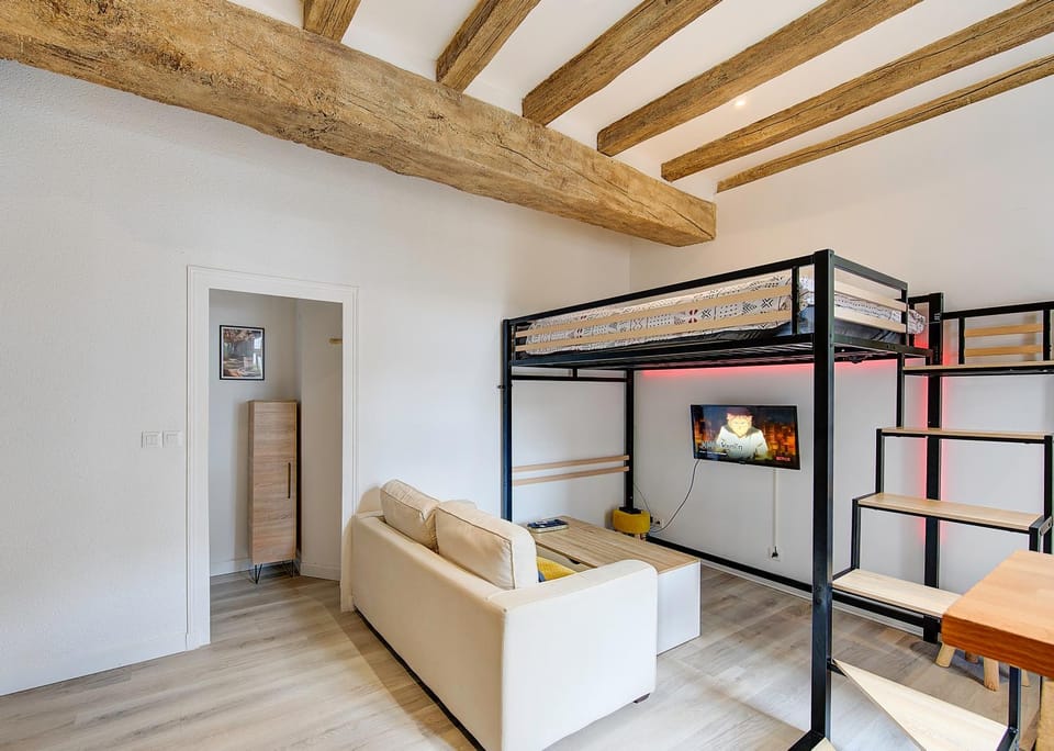 Appartement au coeur de Tours Apartment in Saint-Cyr-sur-Loire
