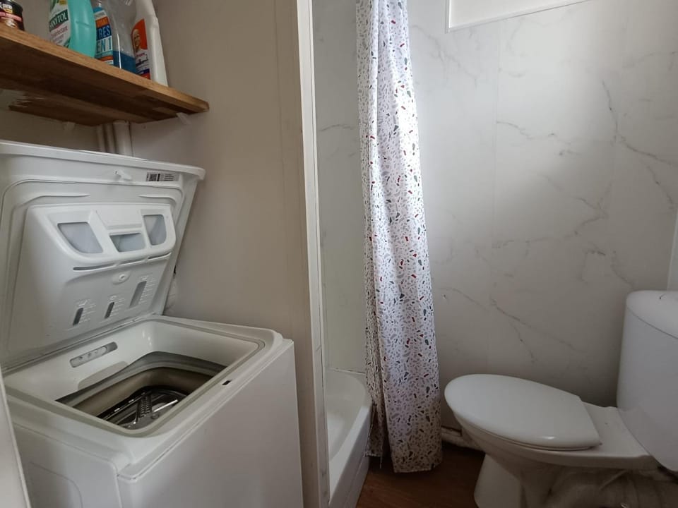 Toilet, Bathroom, washing machine