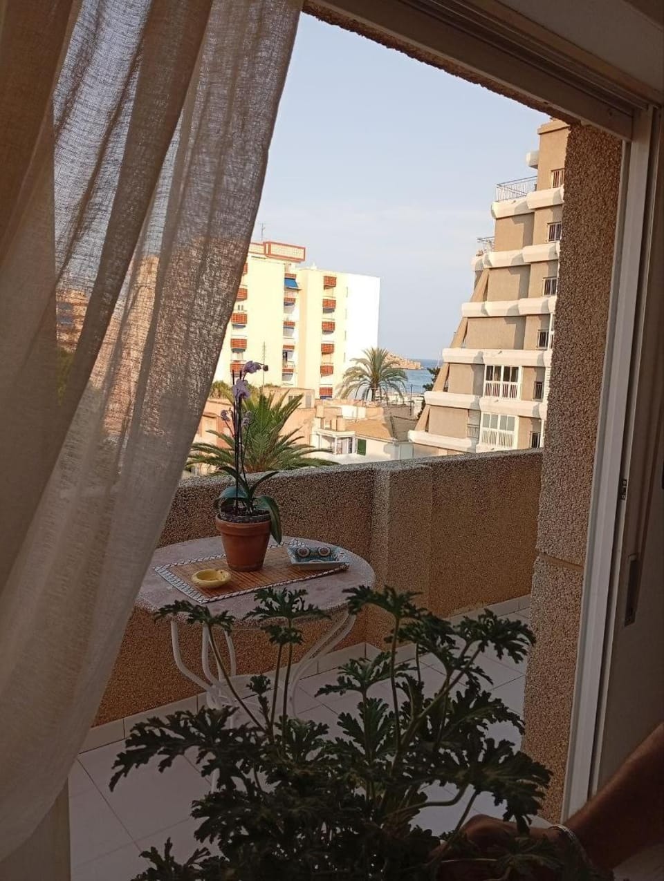 Patio, Day, Natural landscape, View (from property/room), Balcony/Terrace