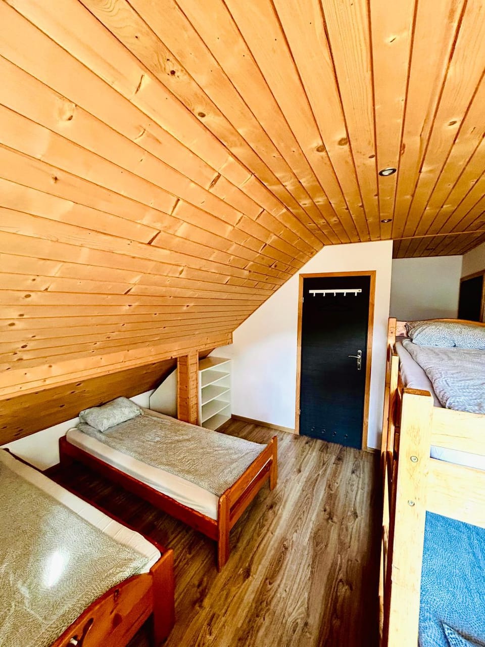 Bed, Photo of the whole room, Bedroom, bunk bed