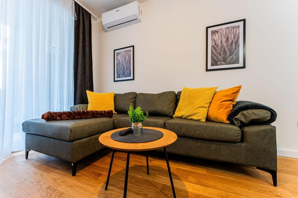 Living room, Decorative detail, air conditioner