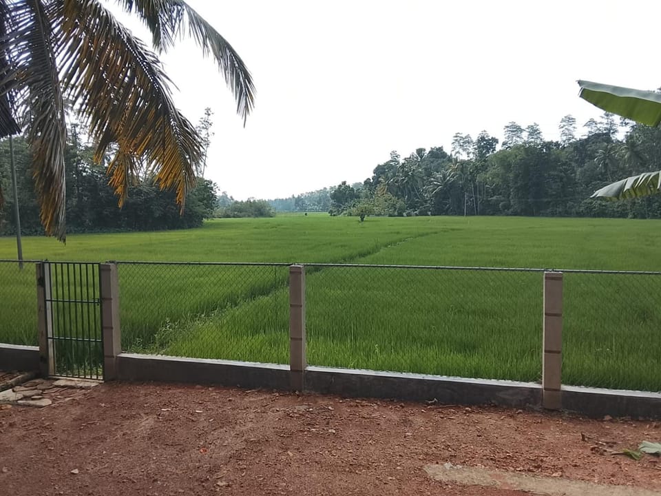 Natural landscape, View (from property/room)