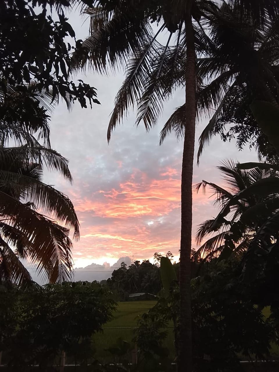 Natural landscape, Sunset