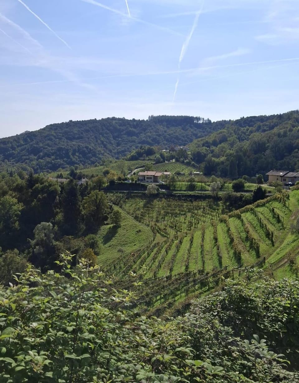da Tony home B&B Bed and Breakfast in Veneto
