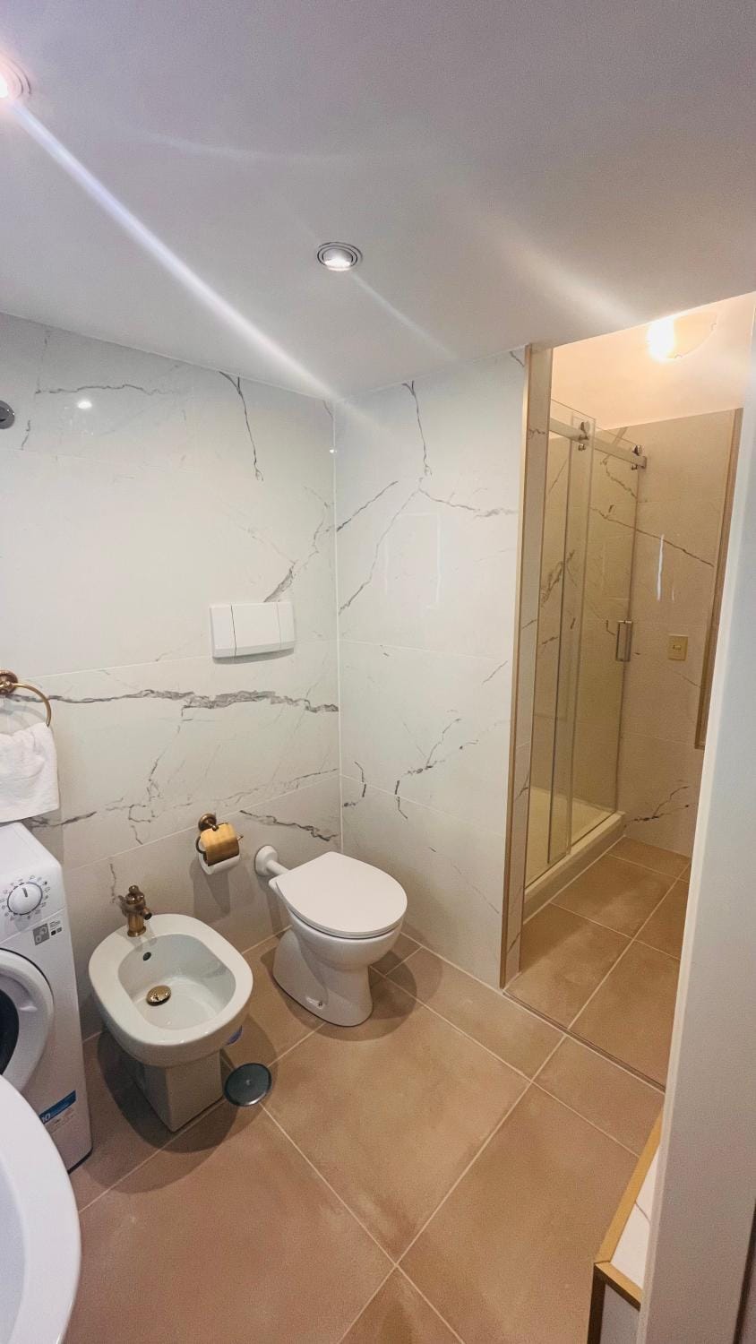 Shower, Toilet, Bathroom, bidet