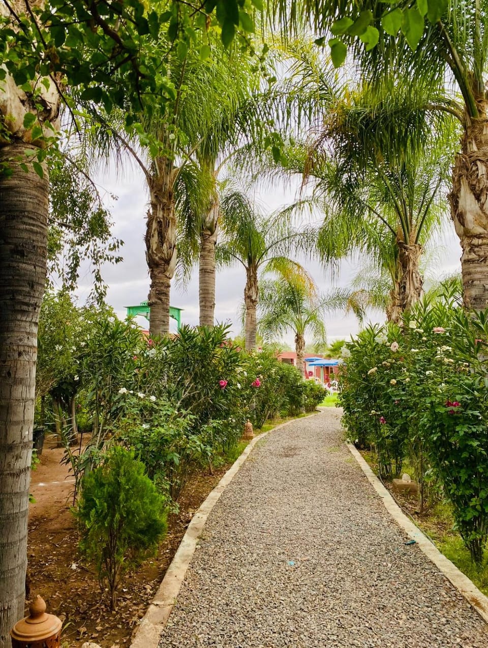 Garden, Garden