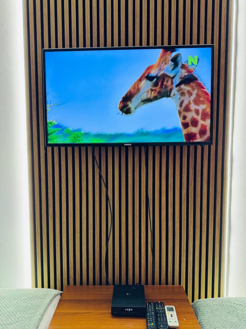 TV and multimedia