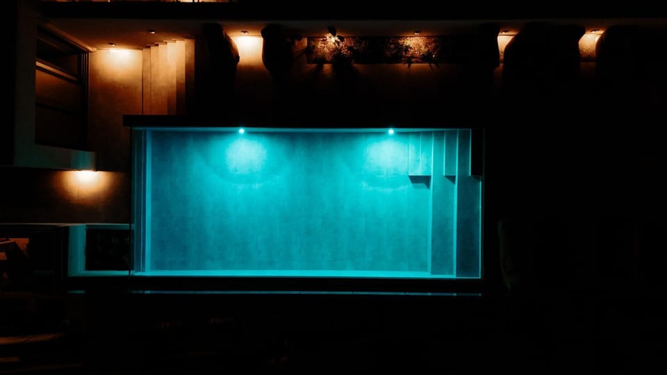 Night, Swimming pool