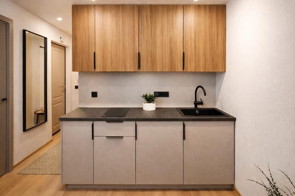 Beautiful 2 rooms apartment near the lake Apartment in Senieji Trakai