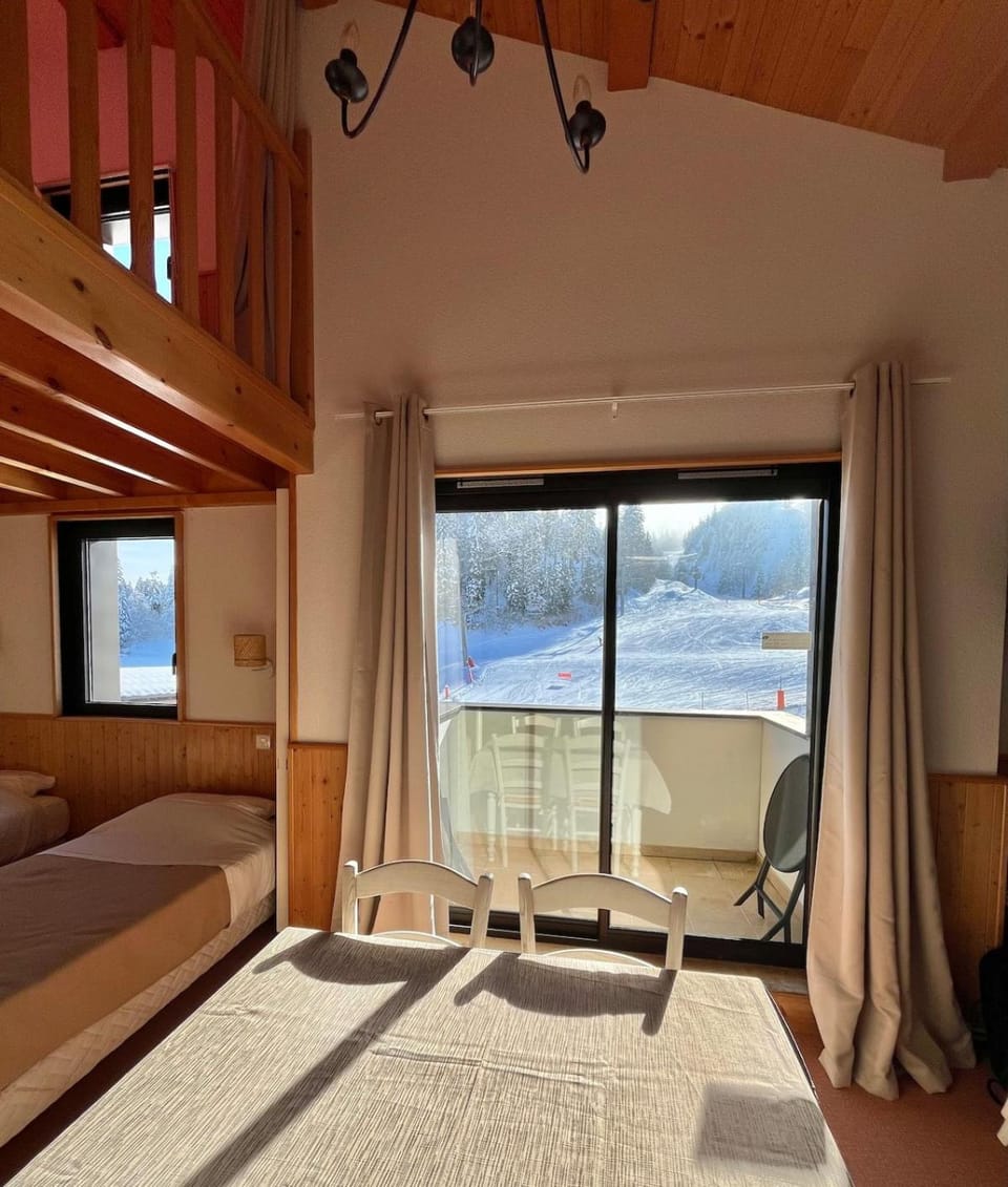 Nid de la Faucille au pied des pistes Apartment in Gex