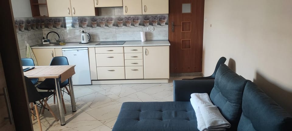 Kitchen or kitchenette, Dining area, stove