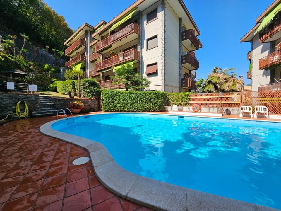 Day, Pool view, Swimming pool