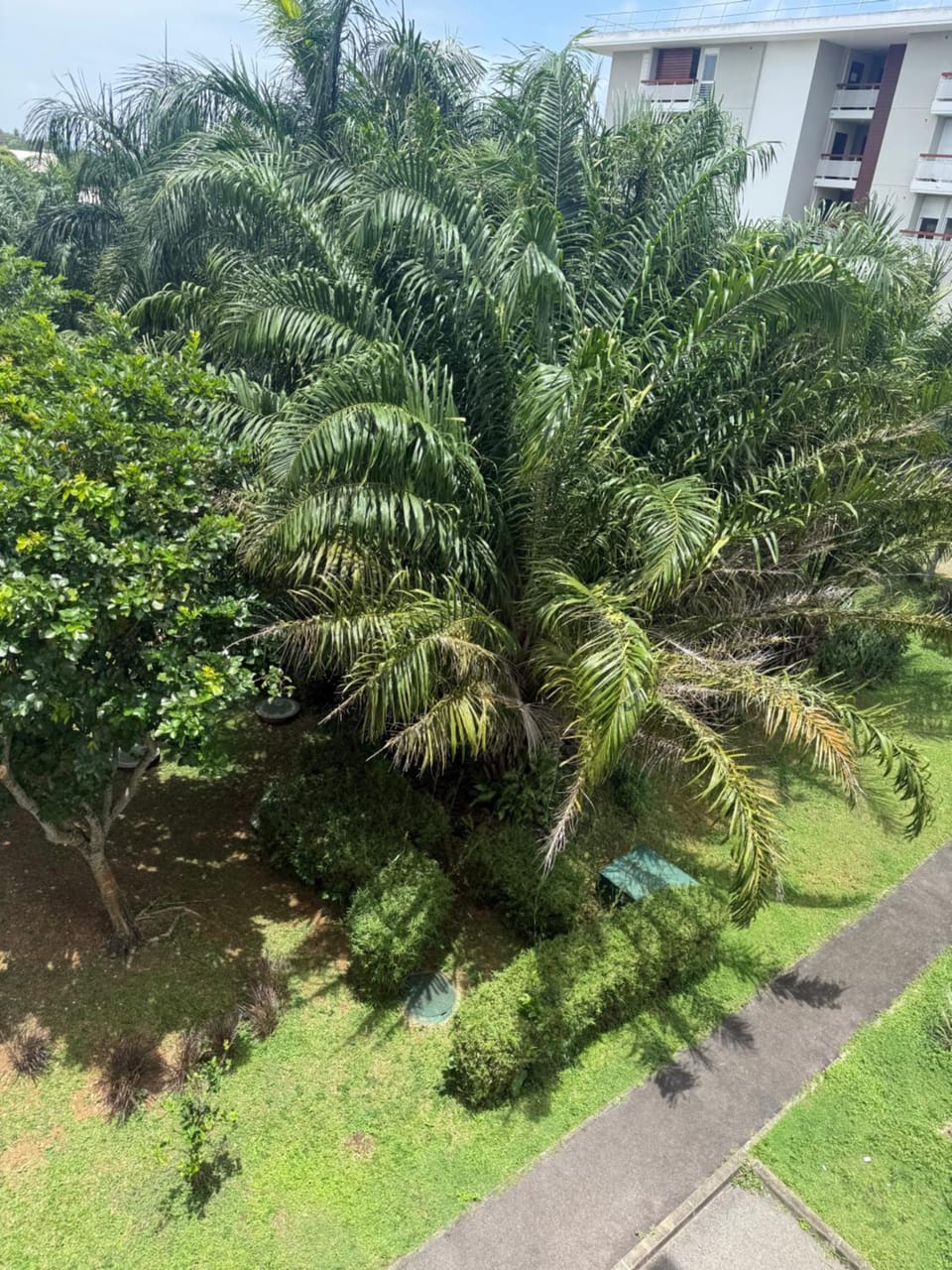 Garden view, Parking