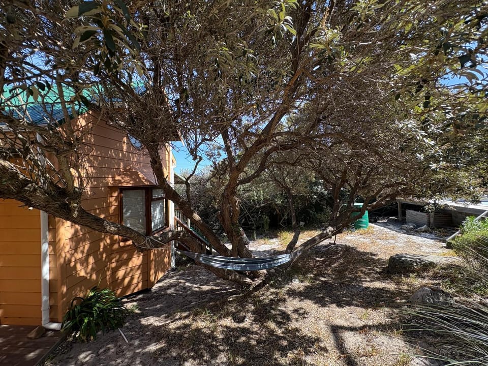 Property building, Garden, Garden view