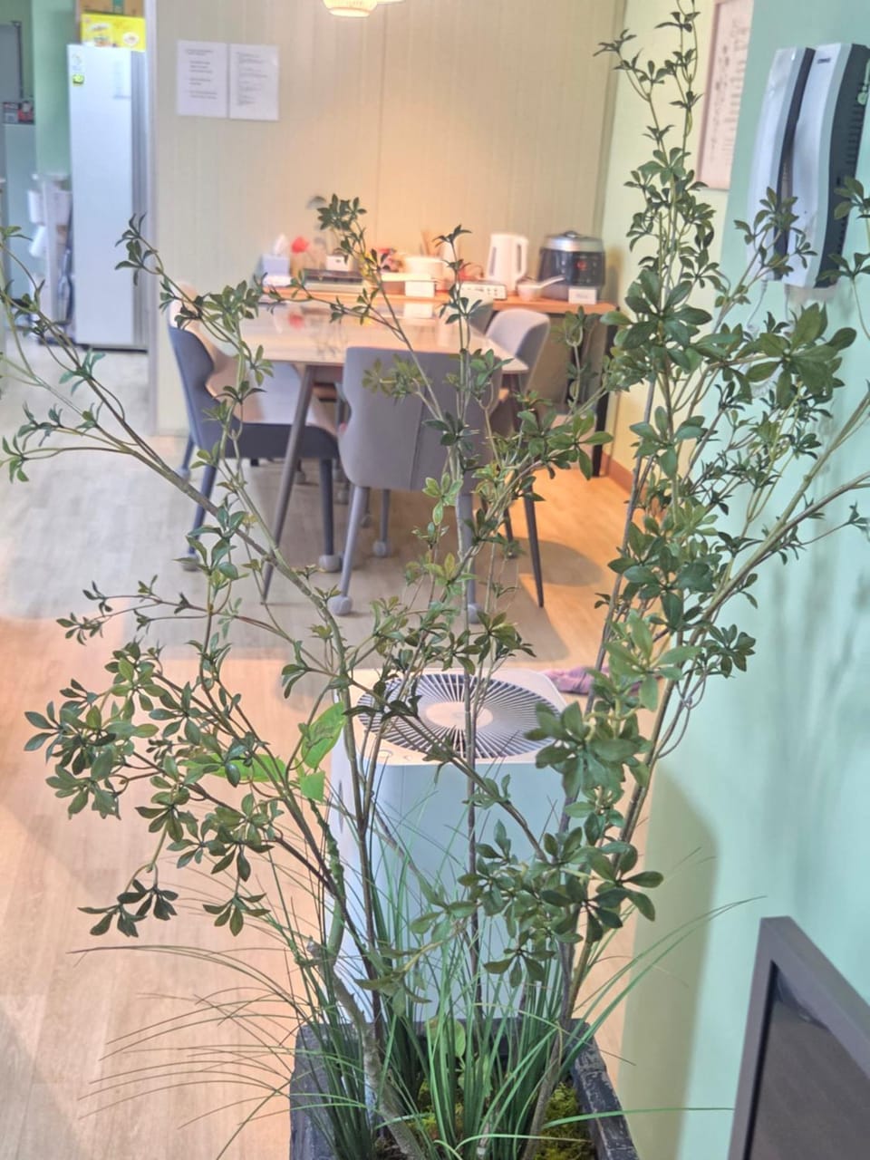Dining area