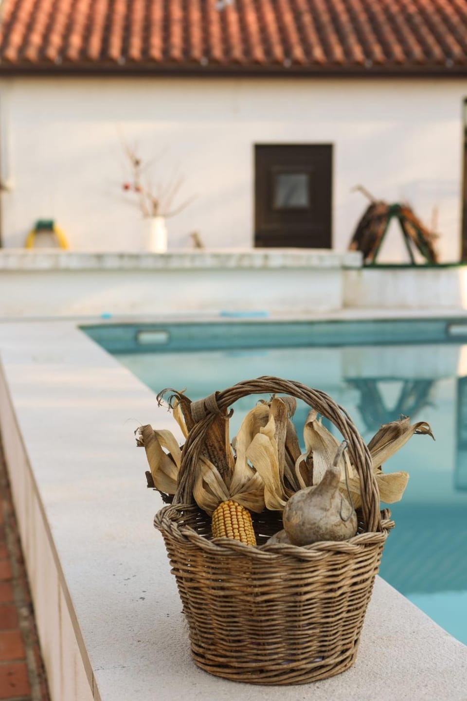 Pool view, Swimming pool