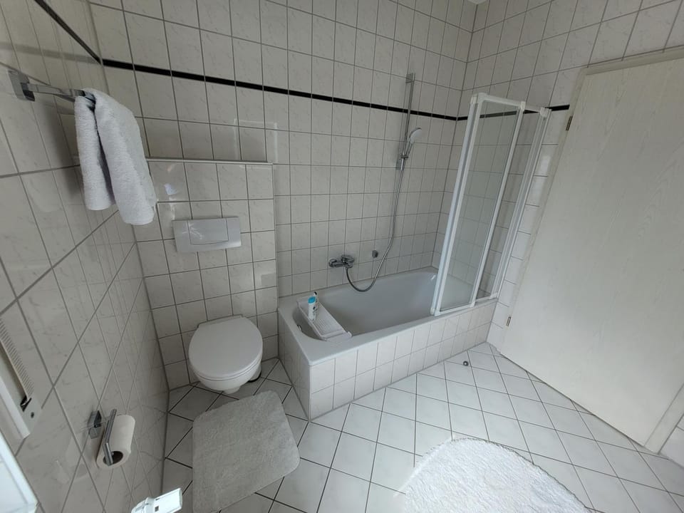 Toilet, Bathroom, Bath