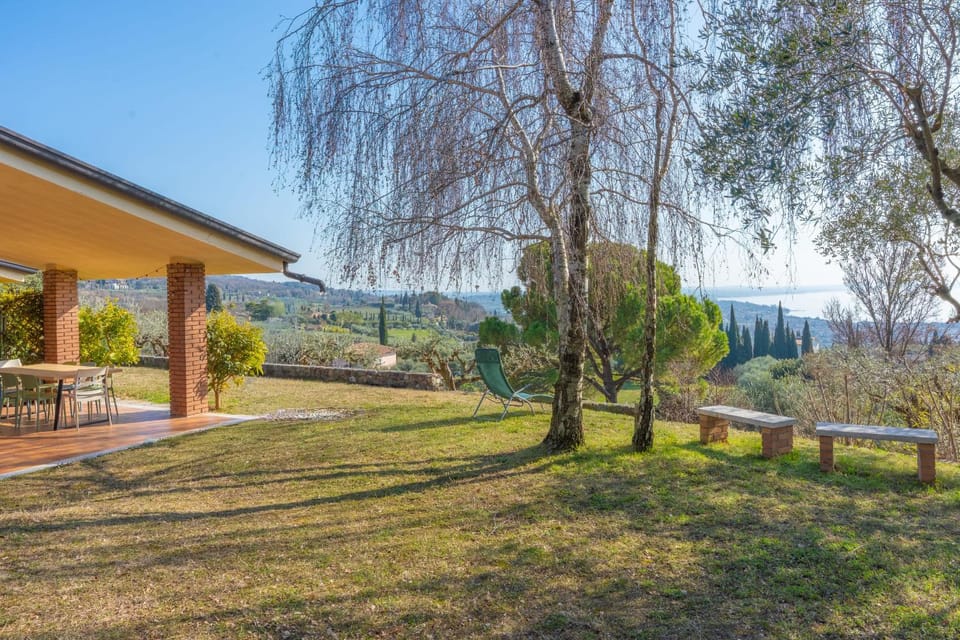 Patio, Garden, Garden view