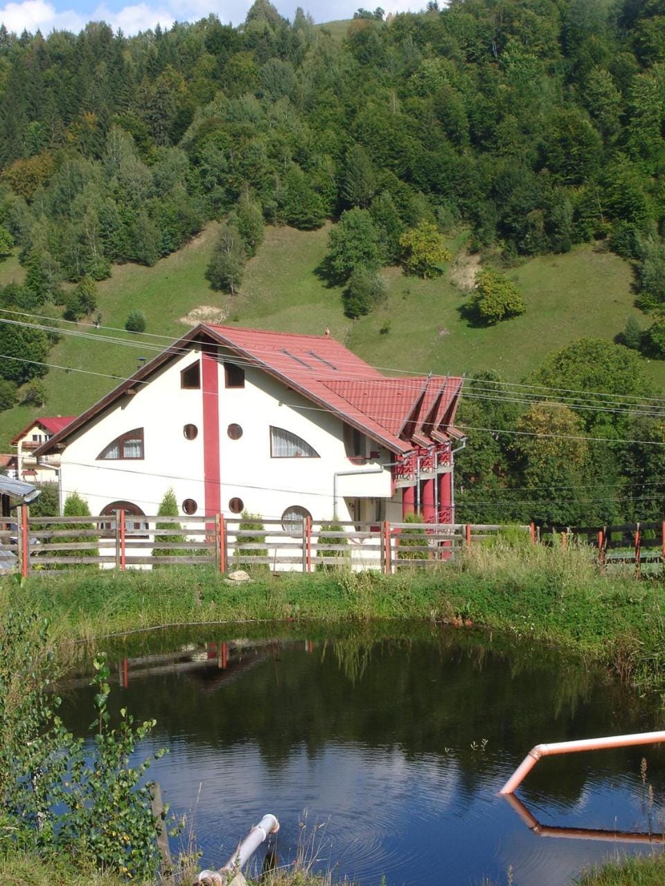 Lake view
