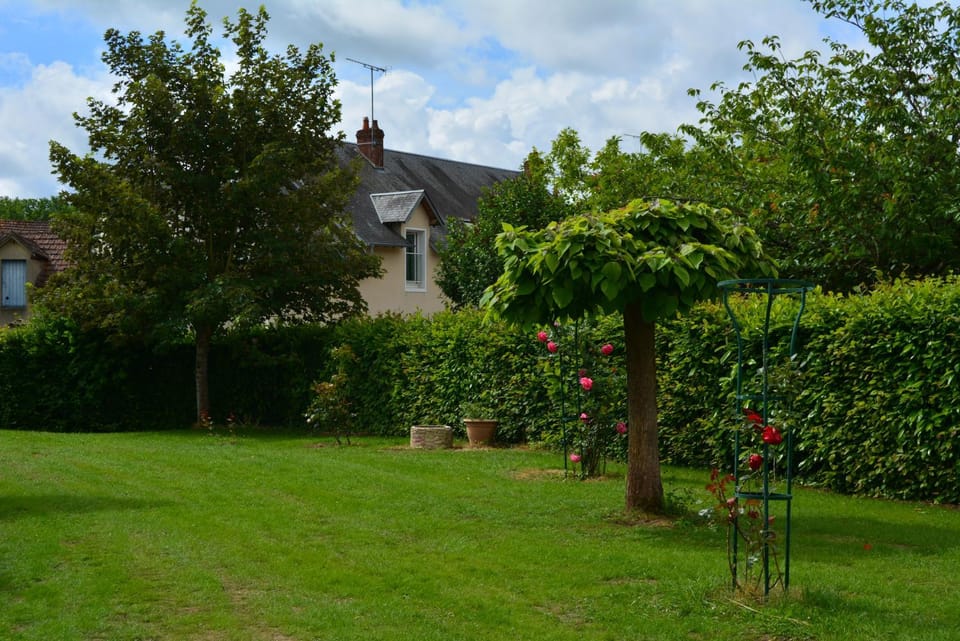 Spring, Day, Garden, Garden view