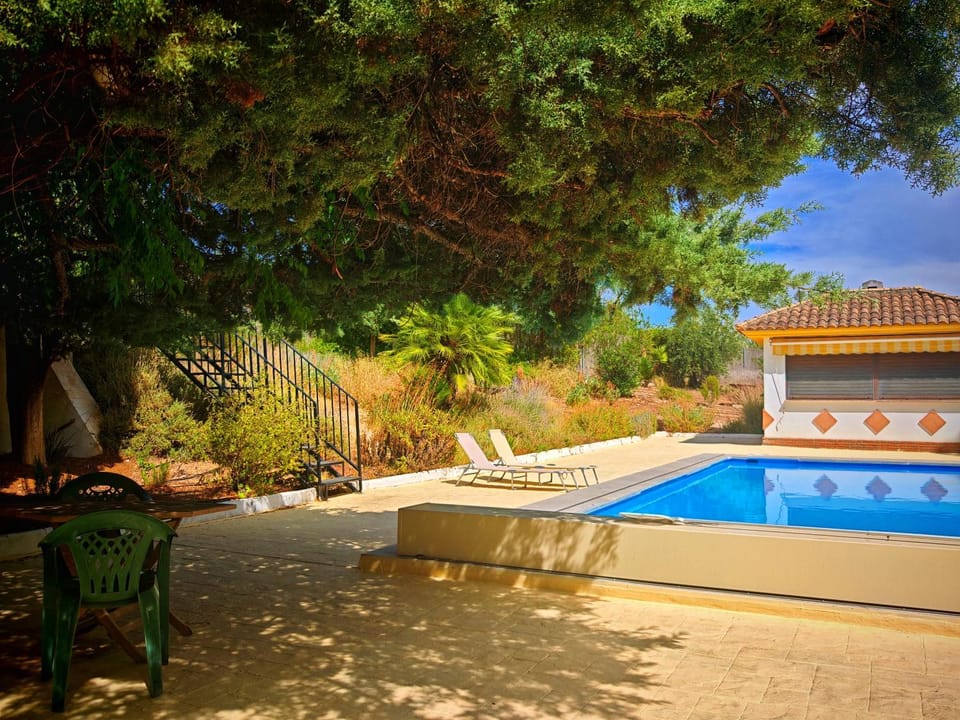 Garden, Swimming pool, sunbed