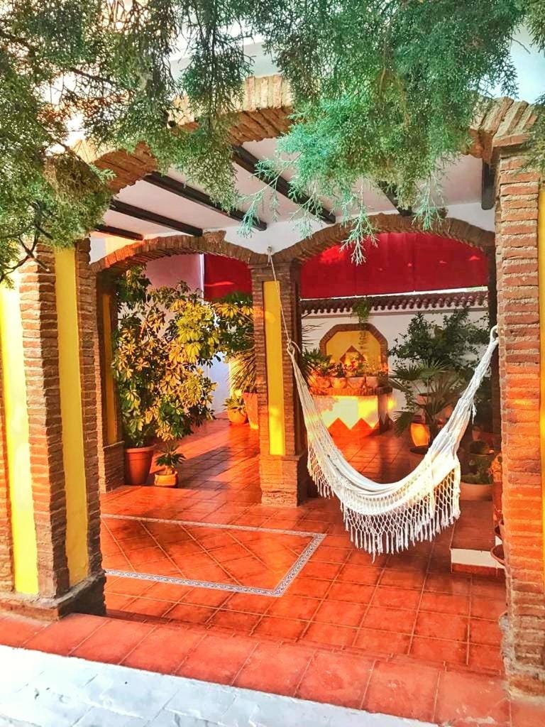 Patio, Garden